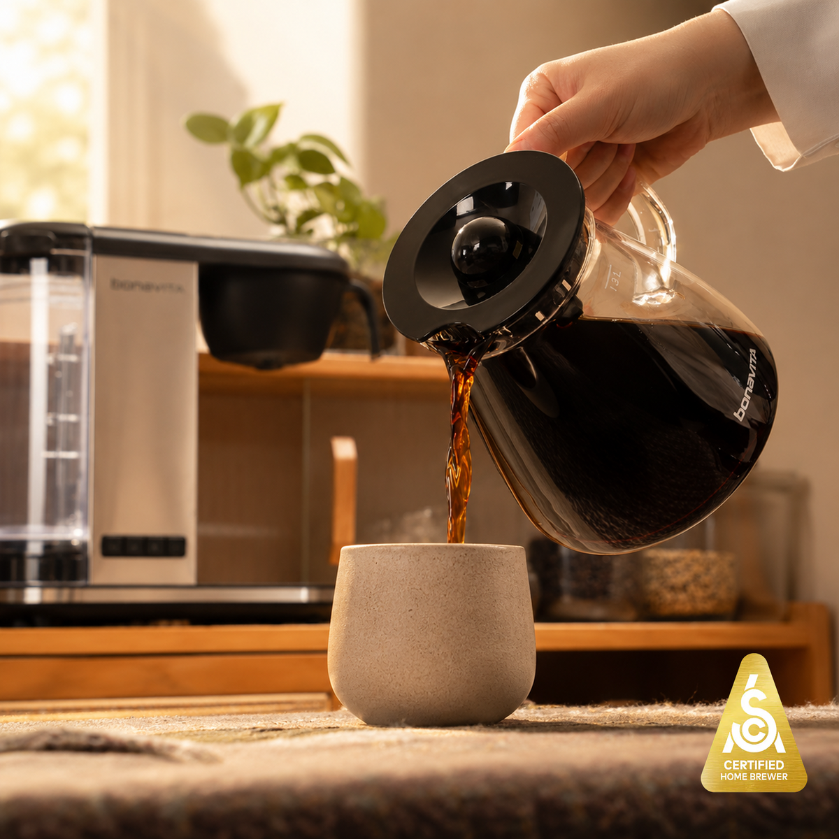 Veyro Enthusiast 8-Cup Drip Coffee Brewer – Bold Brew Performance