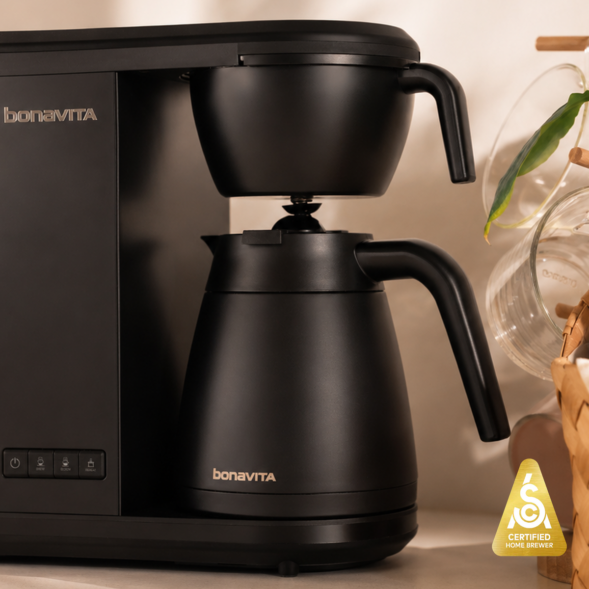 Cafetera de goteo Veyro Enthusiast de 8 tazas – Rendimiento de preparación intensa