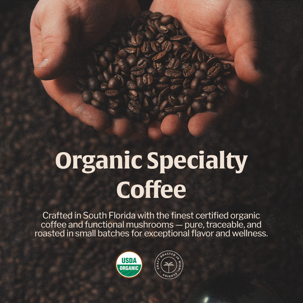 Veyro Organic Cold Brew – Smooth & Naturally Sweet
